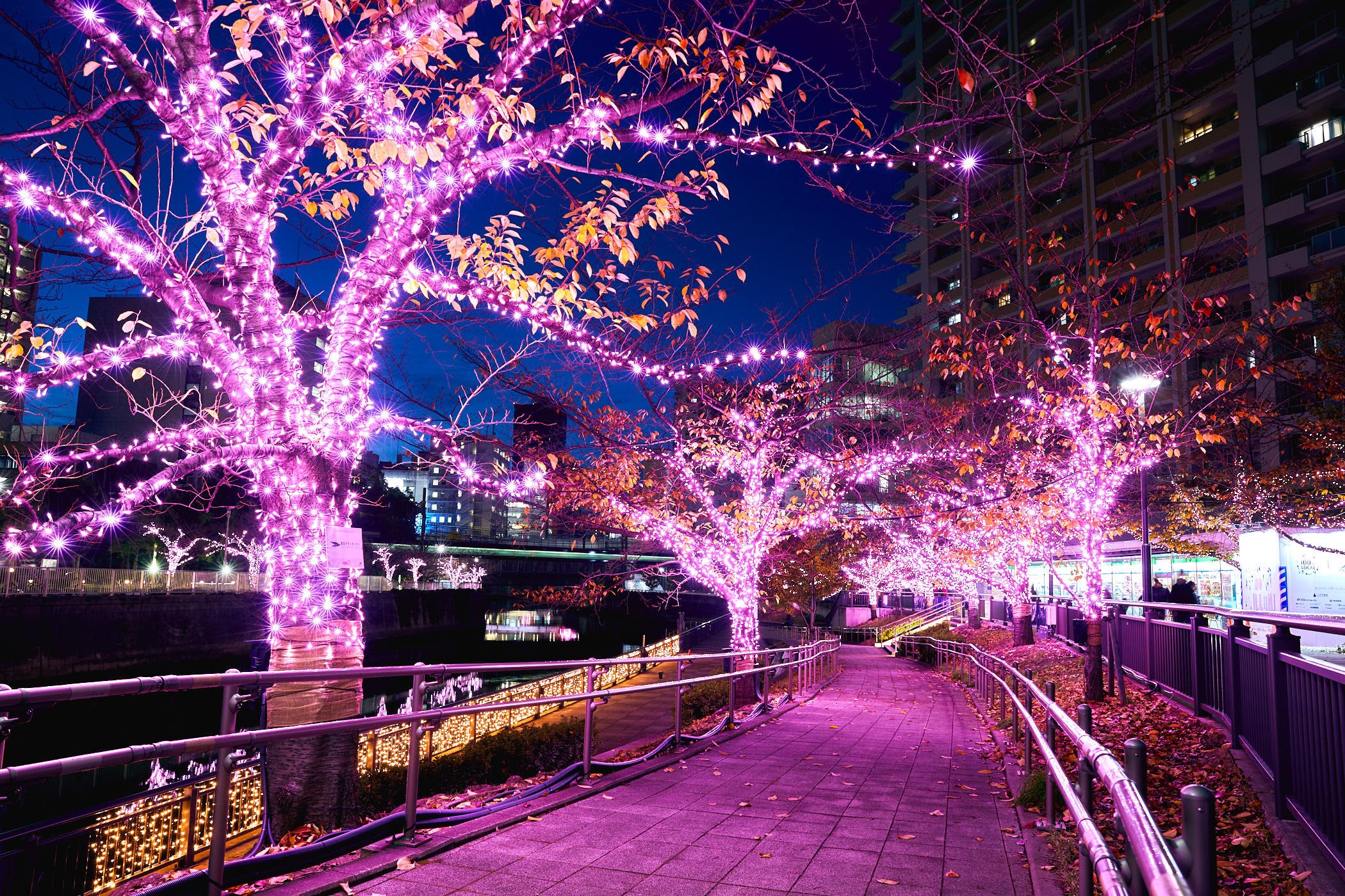 🏞️ 고탄다 만남의 물가 광장(고탄다 후레아이 미즈베 히로바) 이미지 9